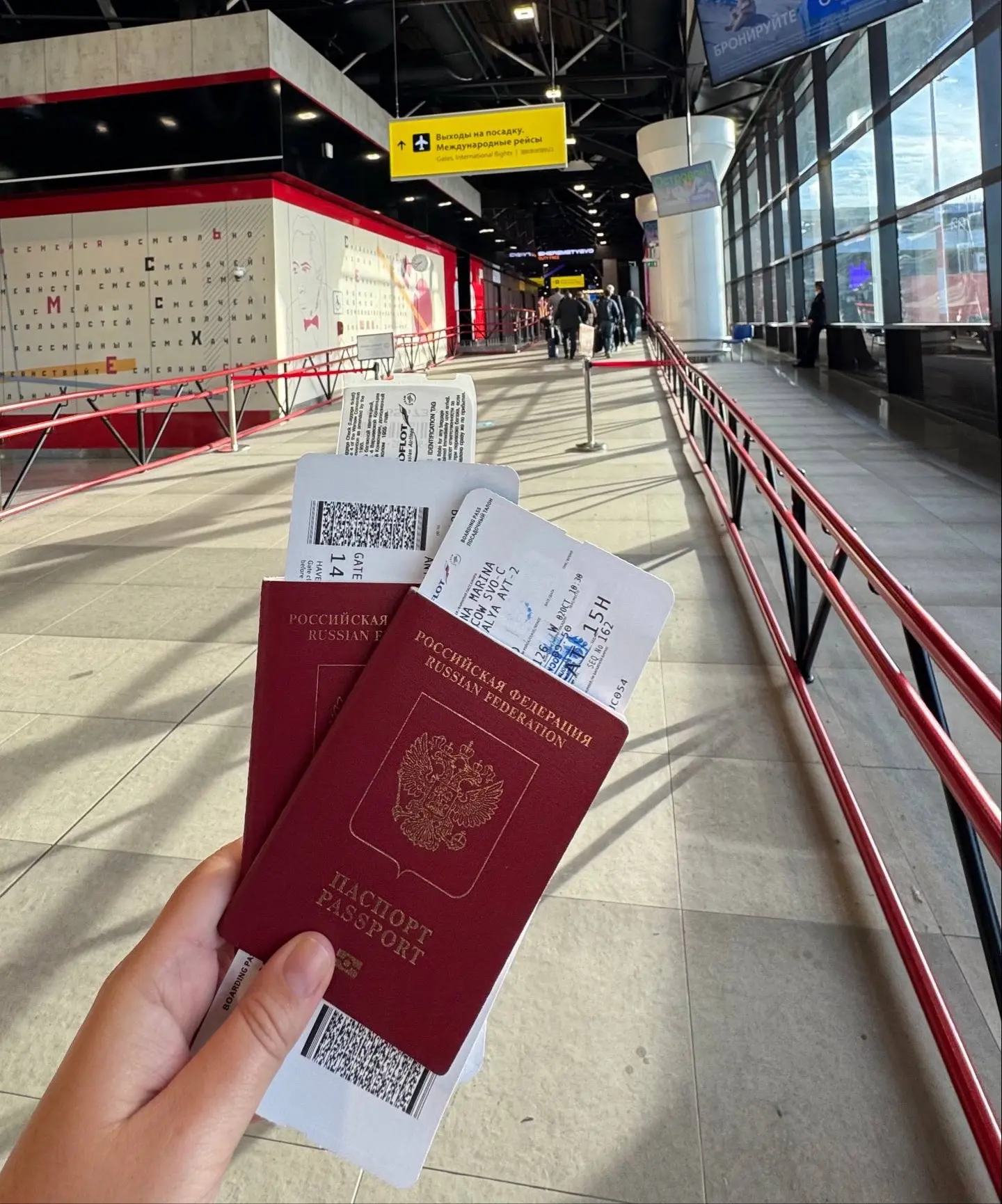 Старый или биометрический загранпаспорт — какой выбрать для путешествий? 🎫

Чем ближе сезон, тем ак