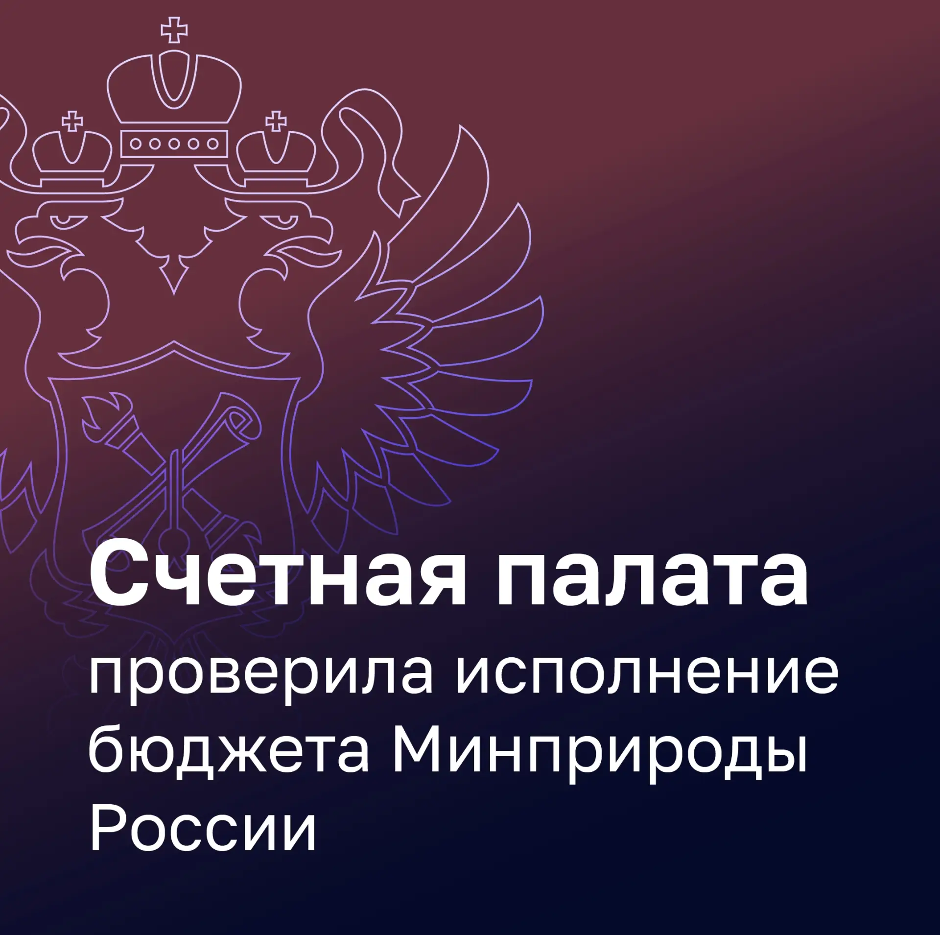 Счетная палата Российской Федерации проверила, как в 2025 году исполняло бюджет Минприроды России.

