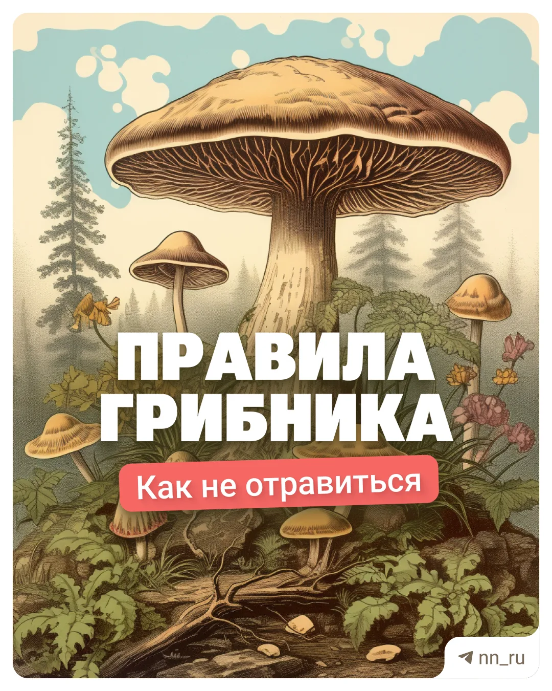 Пора на охоту! Мы про ту, которая тихая

А пока вы достаете корзинки и одежду для леса, рассказываем