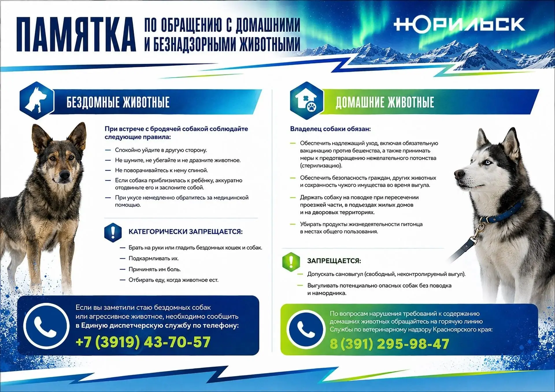 #социальнаярекламаНорильск