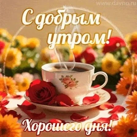 ⚡️Народные приметы на 17 июня

По народному календарю сегодня отмечается день Митрофана Навозника, п