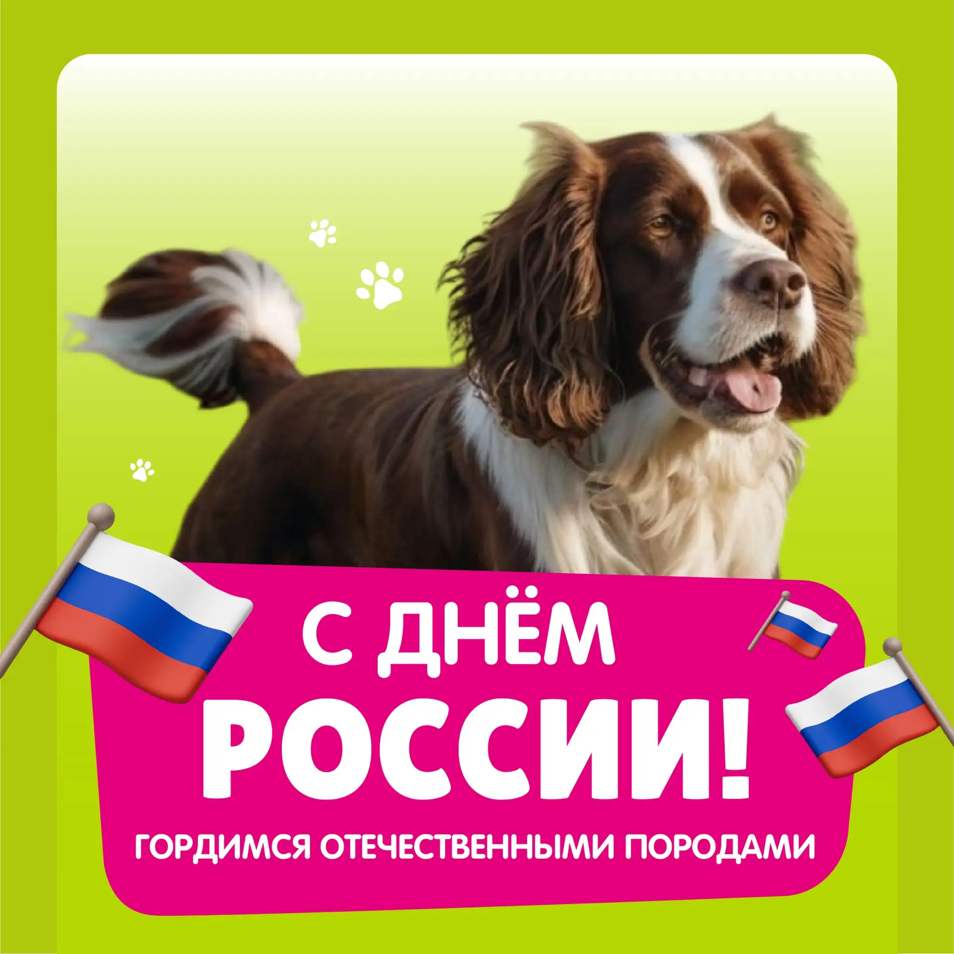 🇷🇺 С Днём России!

Сегодня вспоминаем и гордимся отечественными породами собак – сильными, умными,