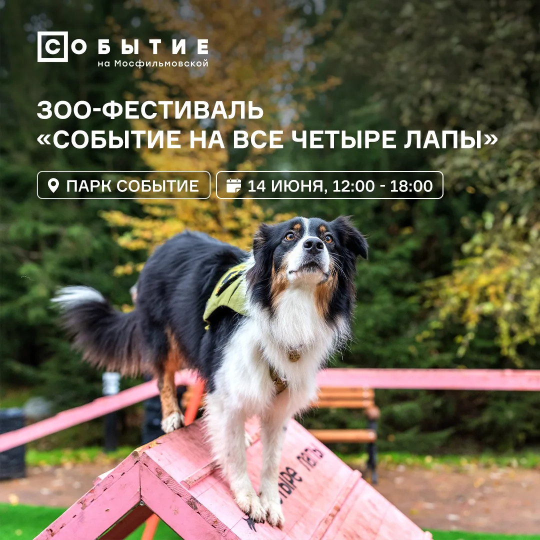 Для идеального летнего дня нужно не так много: хорошая компания, любимый питомец и программа, котора