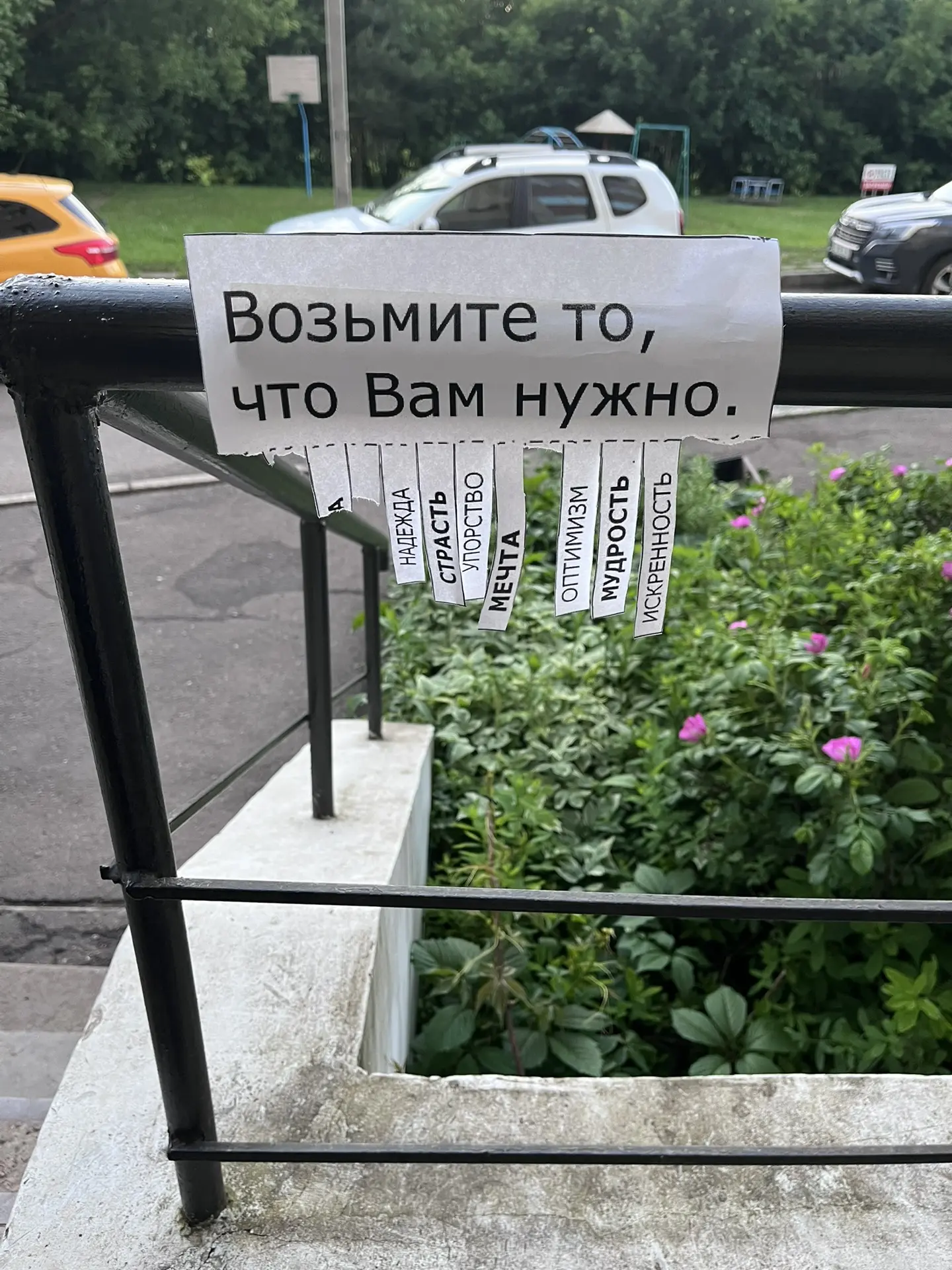 Пошли с мужем на вечернюю прогулку «выхаживать шаги», норму в 10 тысяч.

Прямо у входа в подъезд, на