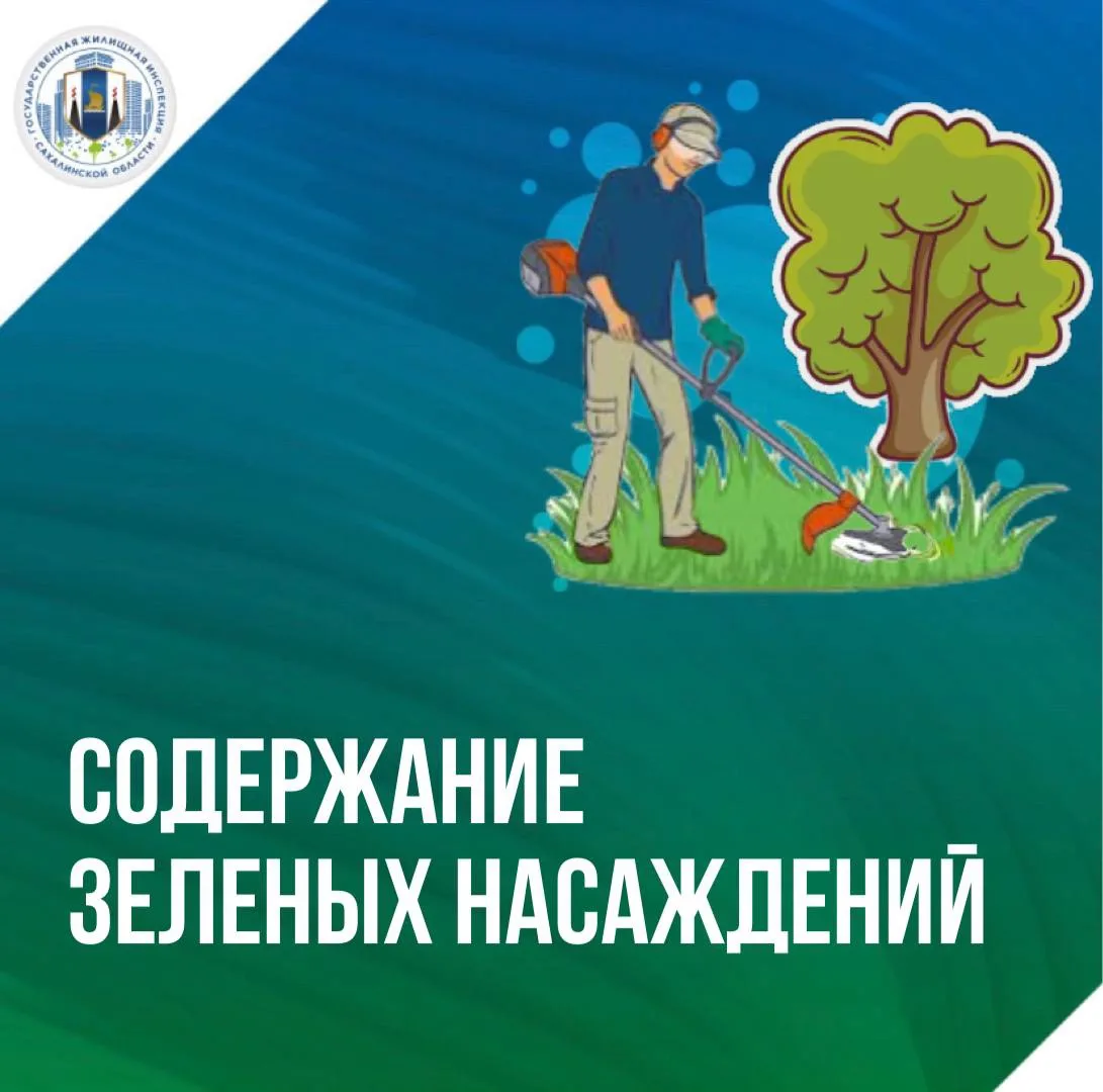 🌿🏠 Деревья, кустарники, цветы и другие растения близ многоквартирного дома очищают воздух, улучшаю