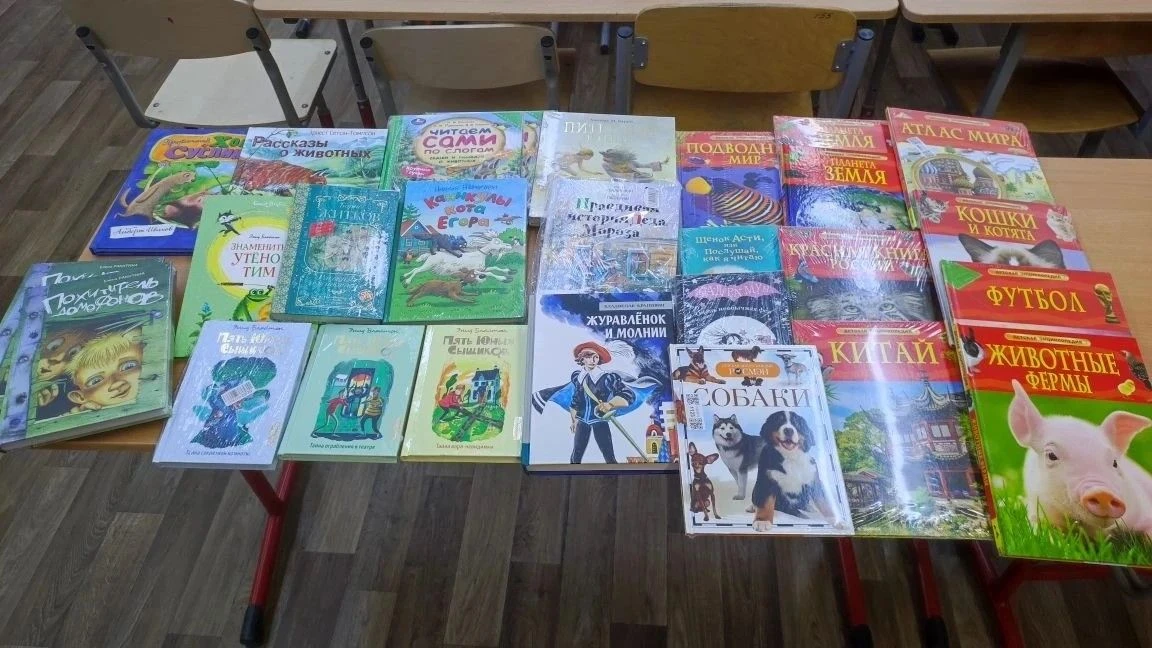 Новые поступления библиотеки начальной школы
 
В середине мая мы провели сбор макулатуры на «Черкизо