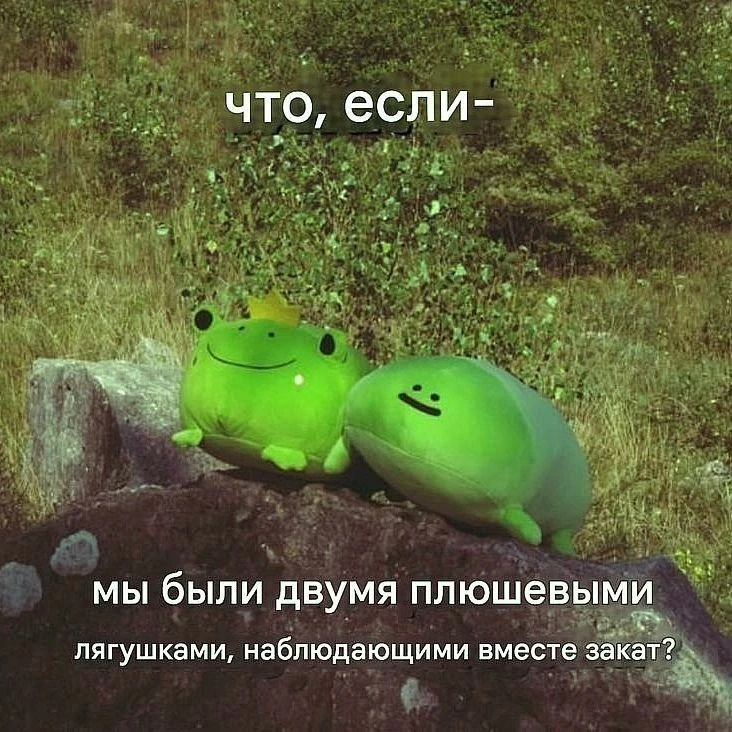 любим лягушек и жабок