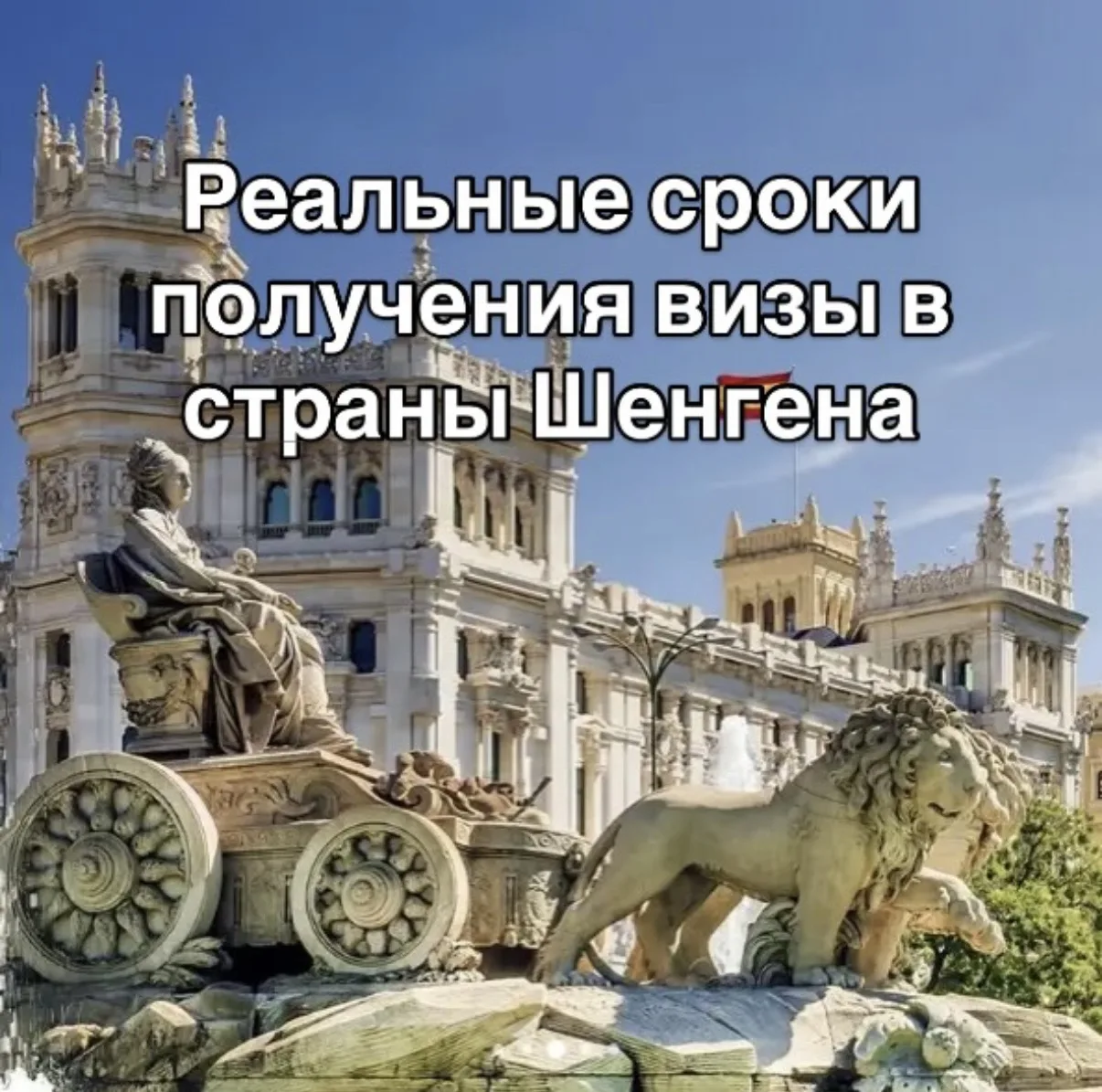 Реальные сроки получения визы в страны Шенген при подаче в ближайшую неделю. Пройдемся по странам:

