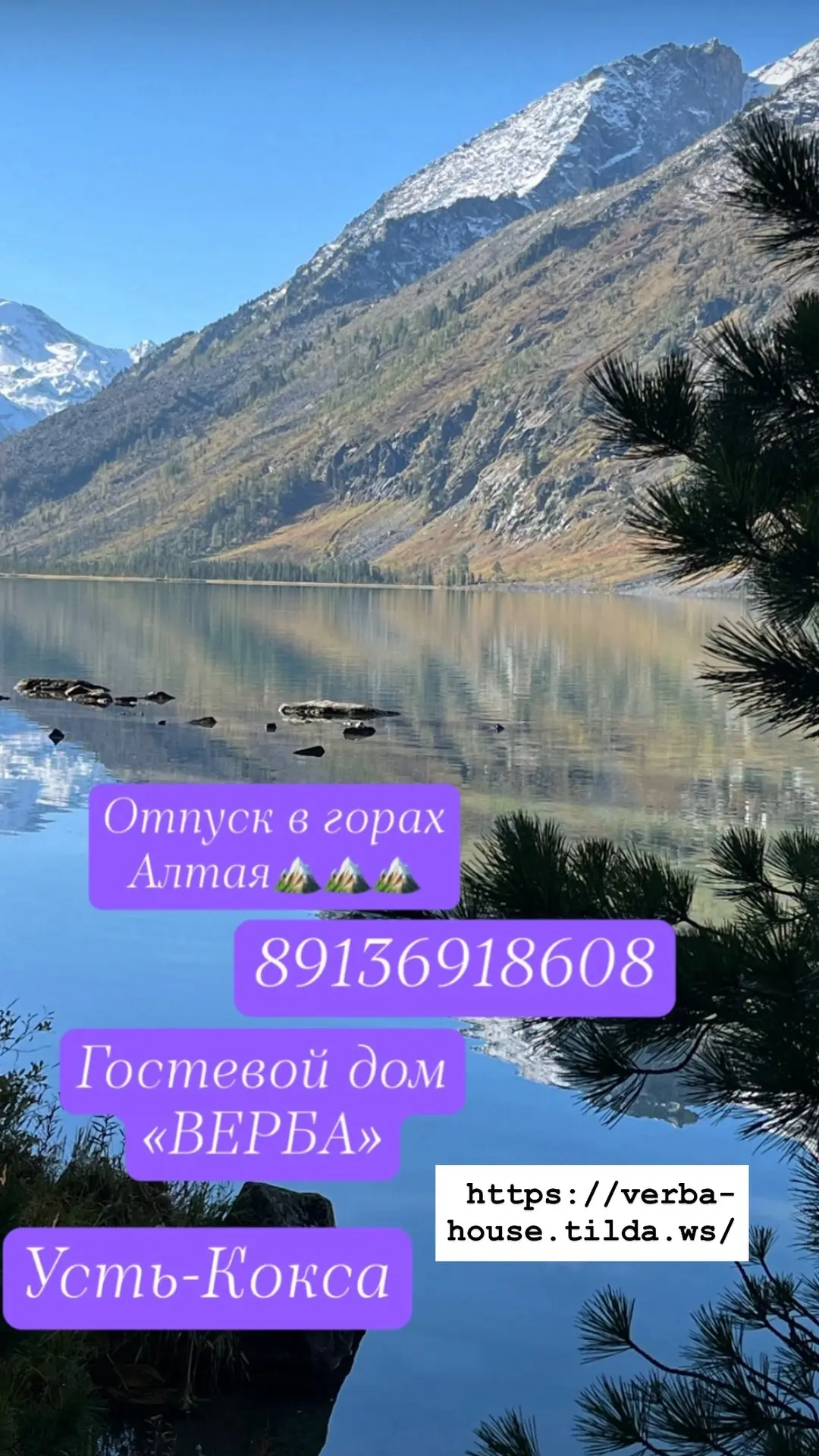 https://verba-house.tilda.ws/