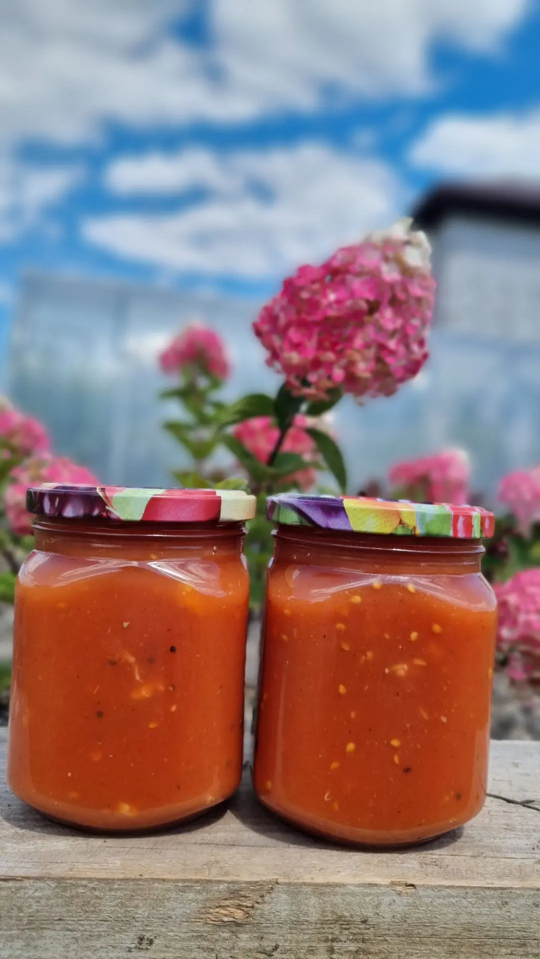Соус Краснодарский

Яблоки -1кг(почистить и потушить до мягкости с 50гр воды)
Помидоры красные-2500к