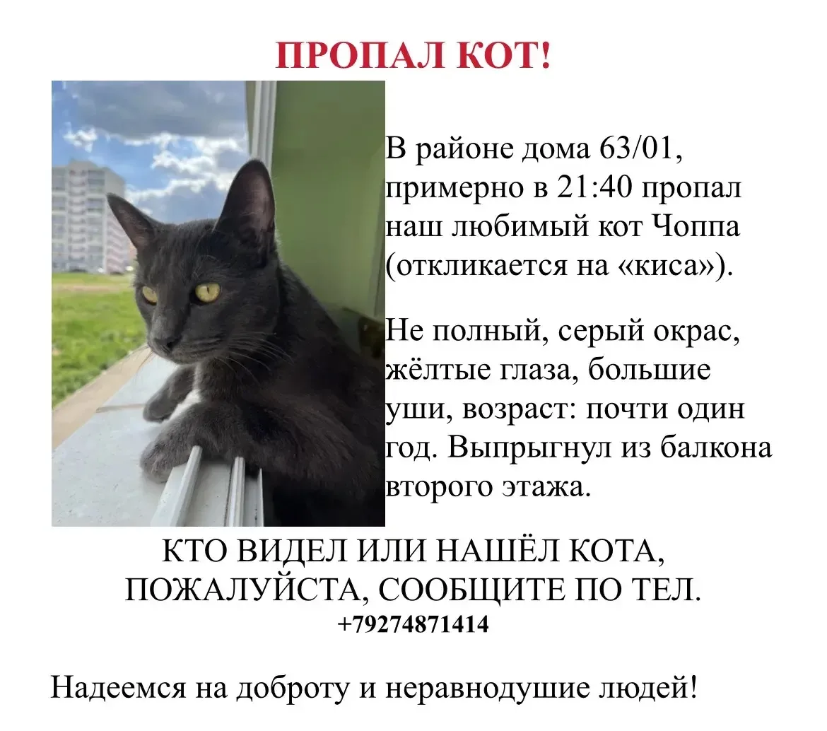 Добрый день, уважаемые родители! Пожалуйста, отправьте по домовым чатам 🙏. Это потеряшка нашей сотр