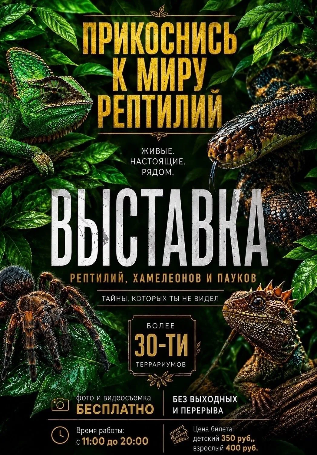 🕷🕷🕷РОСЛАВЛЬ ВСТРЕЧАЙ 🕷🕷🕷

🎁 РОЗЫГРЫШ 10 БИЛЕТОВ 🎁

С 9 ПО 23 ИЮНЯ ( ВКЛЮЧИТЕЛЬНО )
С 11:00:0