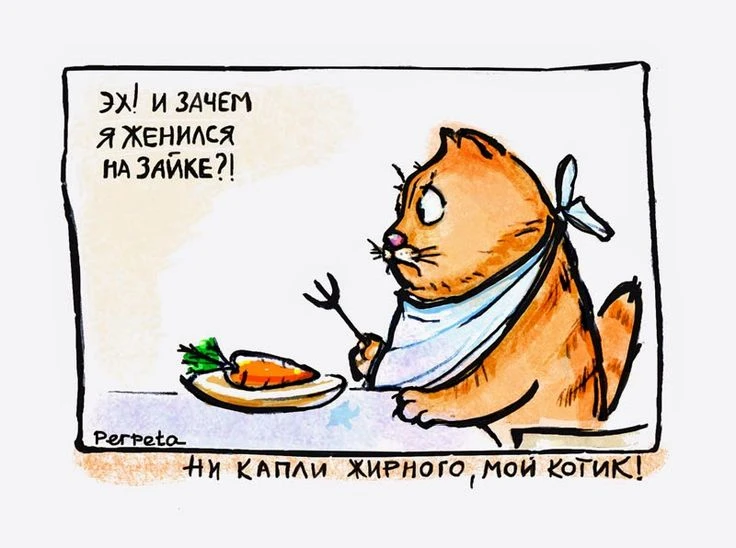 Переманиваем на сторону морковки