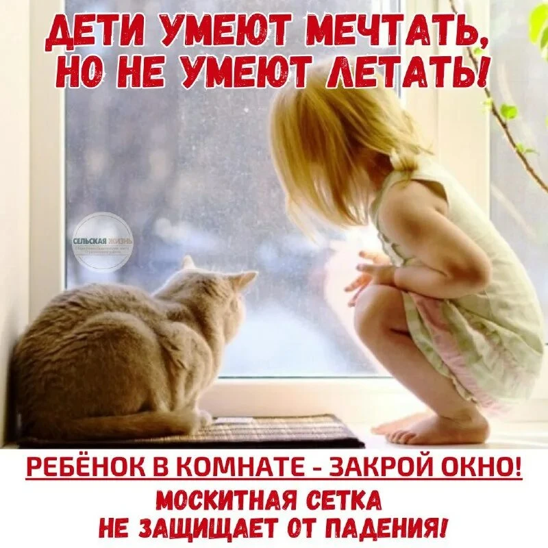 «Дети не летают»: Как уберечь ребенка от трагедии с открытыми окнами летом
Ежегодно в России с насту