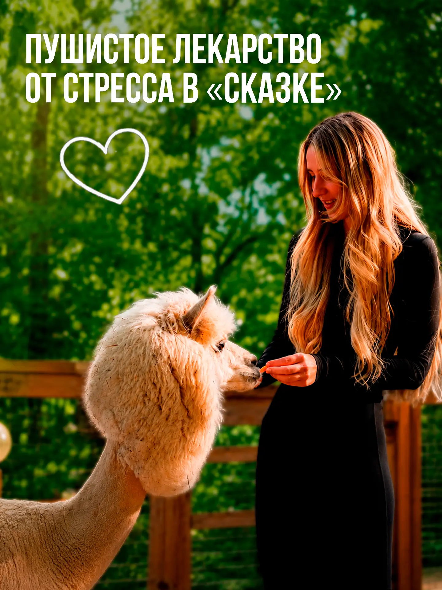 Если рабочая неделя была тяжёлой, у нас есть решение 💛

Иногда лучший способ немного выдохнуть — пр