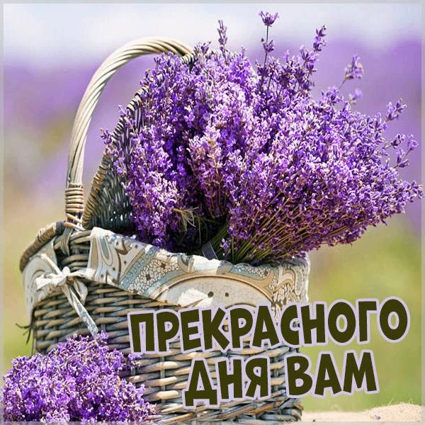 Прекрасного вам дня!
