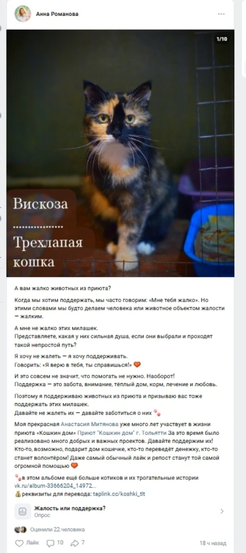 Сегодня в сети ВКонтакте появился пост о необходимости поддержки приютских животных, который поднима
