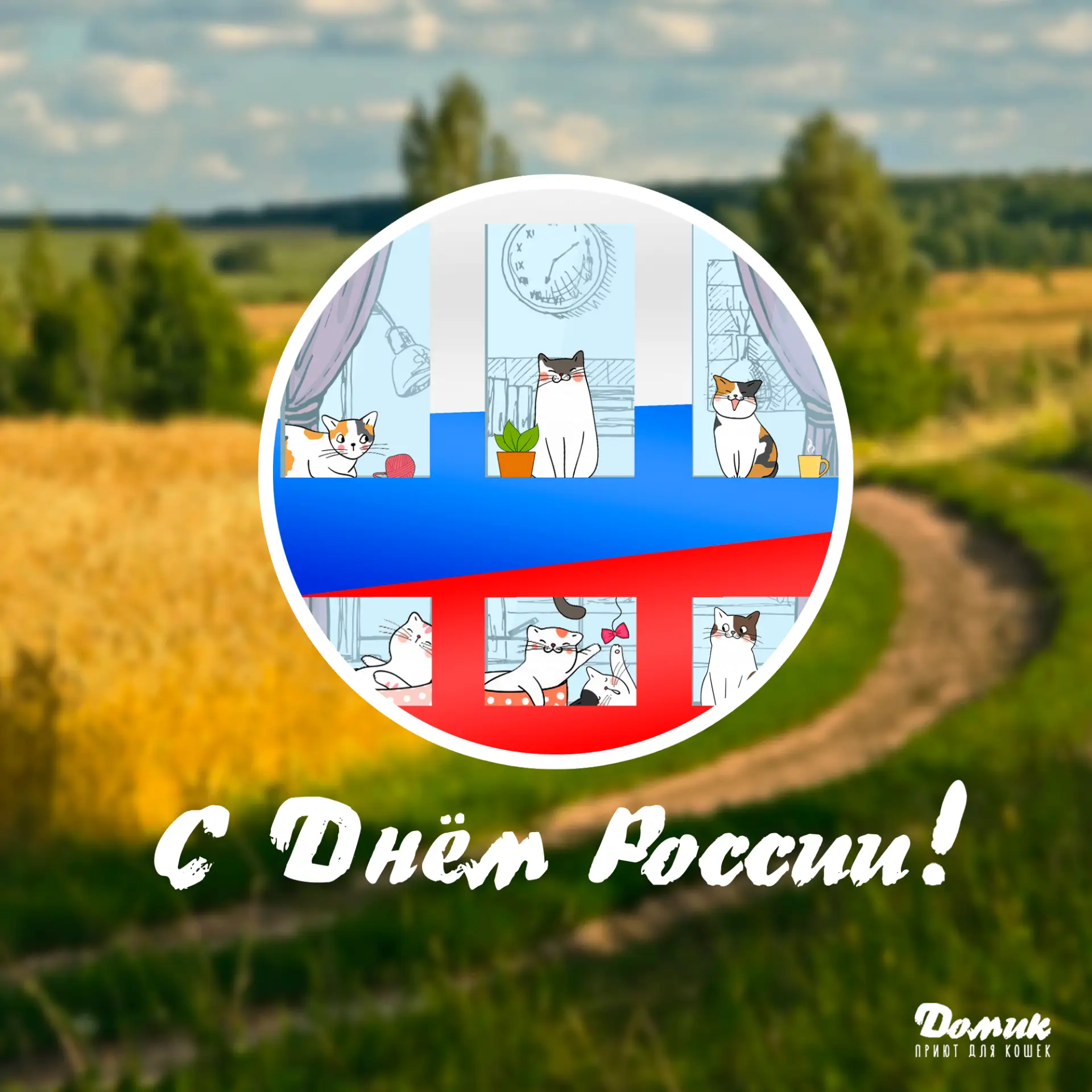 С праздником, дорогие котолюбители! С Днём России!