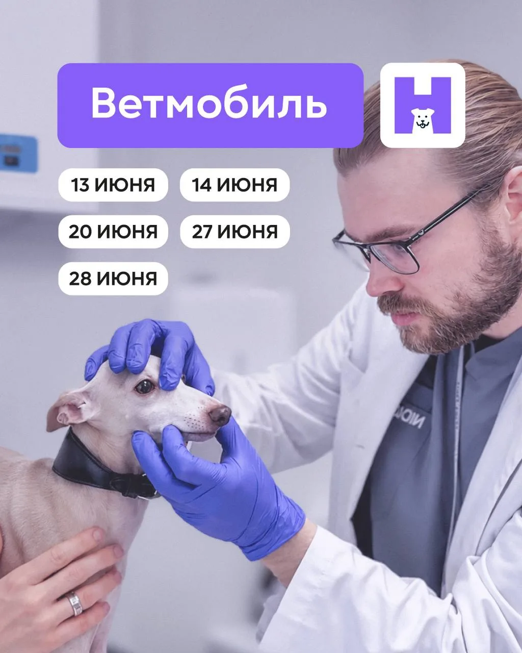 ВетМобиль снова отправляется в районы Москвы 🐶

🚑 С 13 июня по 26 июля в рамках программы Мэра Мос