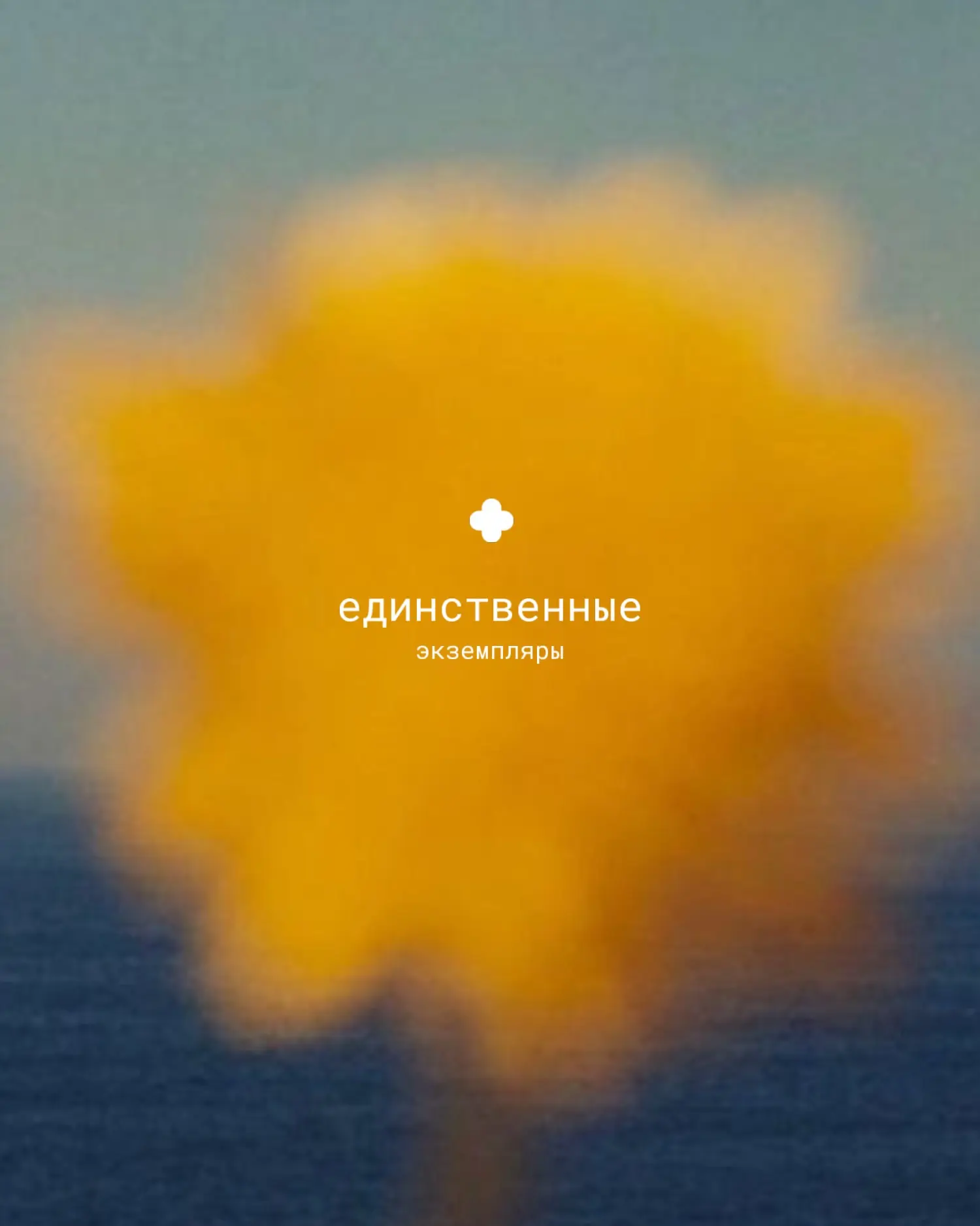 Мы знаем, как вы любите становиться обладательницей  единственного экземпляра, поэтому сегодня подго