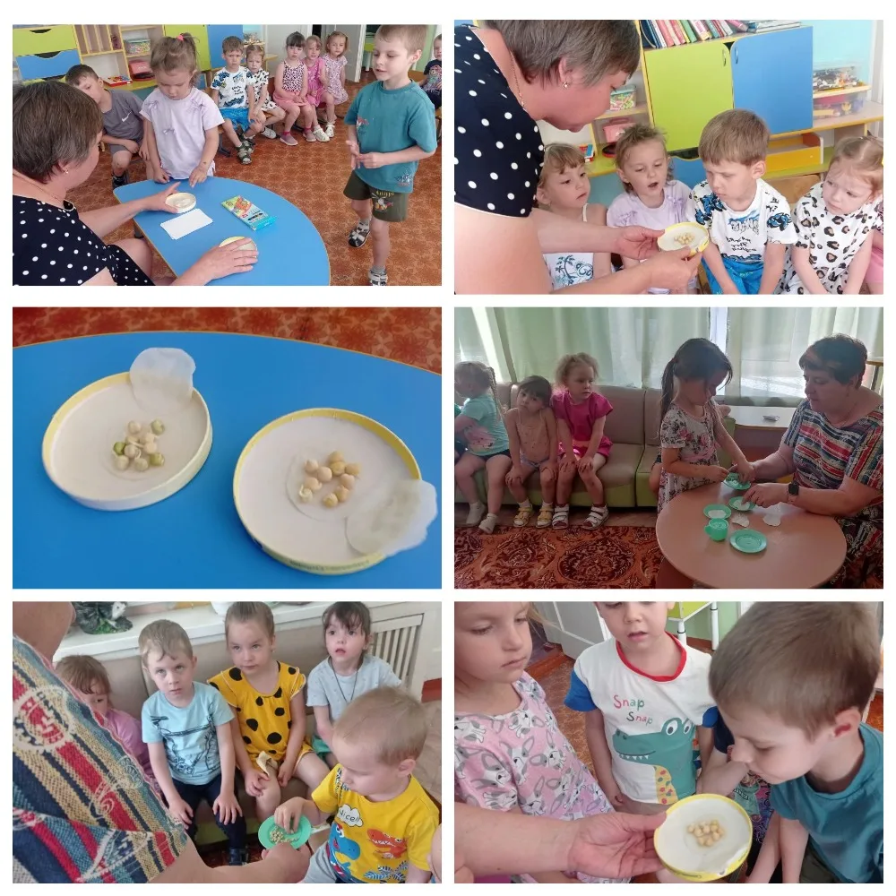 🌱 Юные экологи из детского сада совершили удивительное открытие! 🌱

В рамках программы «Эколята» в