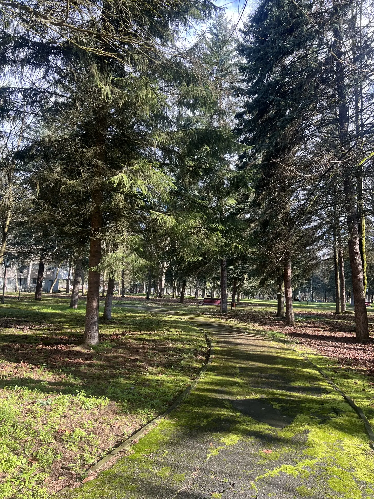 Весна 🤤

Ближайшие туры :


⸻

ЧЕТВЕРГ 🏔

Верхняя Балкария 🌄
12:00–18:00
1400 рублей
✨ горные вид