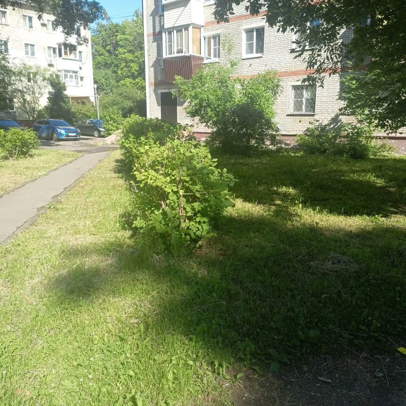 Продолжаем наводить порядок! 🌿

Покос травы идёт по графику — движемся по списку, чтобы дворы радов