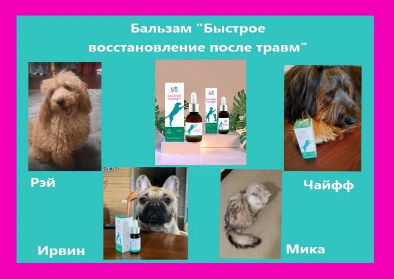 Хотите больше #Результаты_применения бальзама "Быстрое восстановление после травм"? Ловите!

Собрали