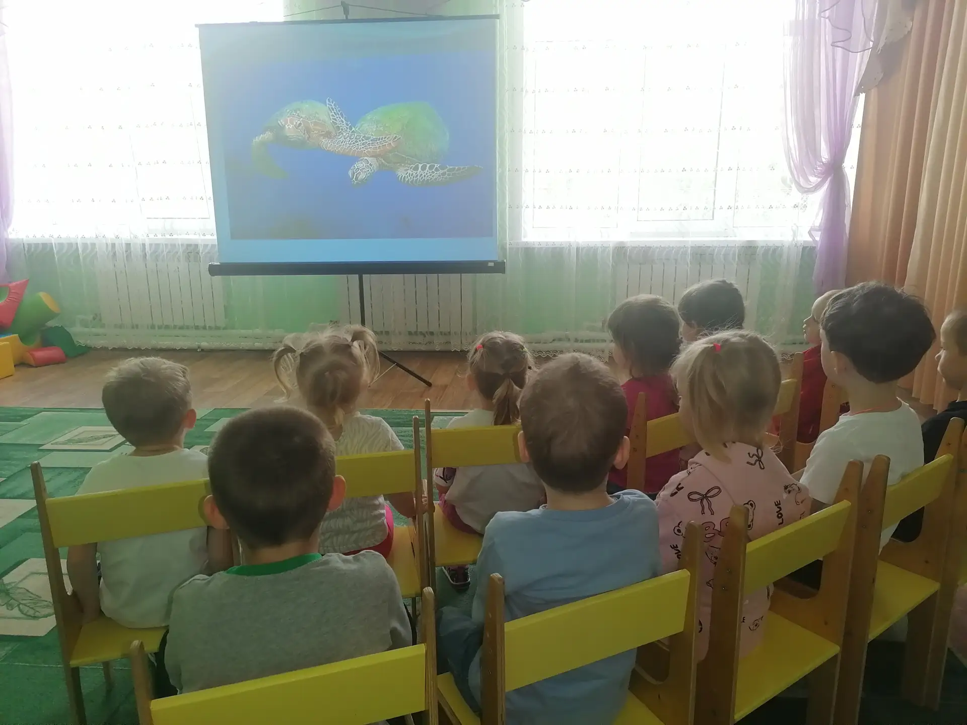 🐢16 июня во многих странах отмечается Всемирный день морской черепахи🐢 — животного, символизирующе
