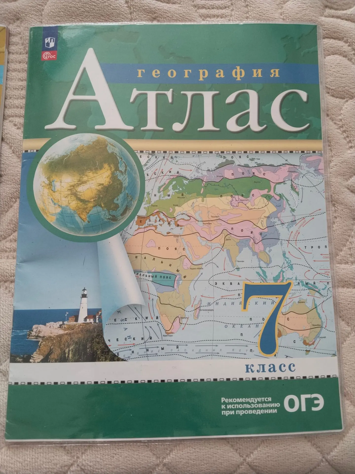 За обе 250₽.