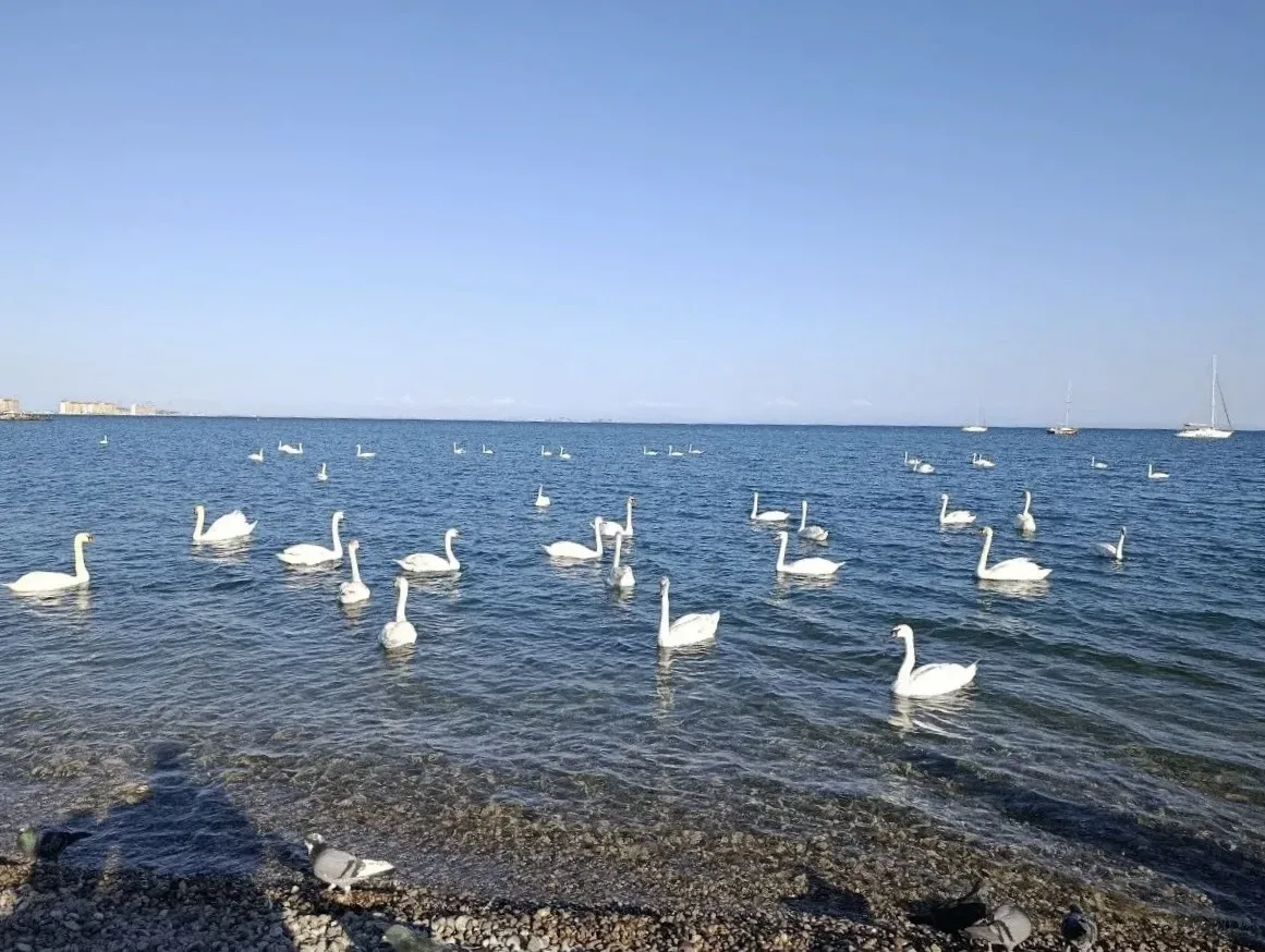 Евпатория шлет всем крымский привет! 👋