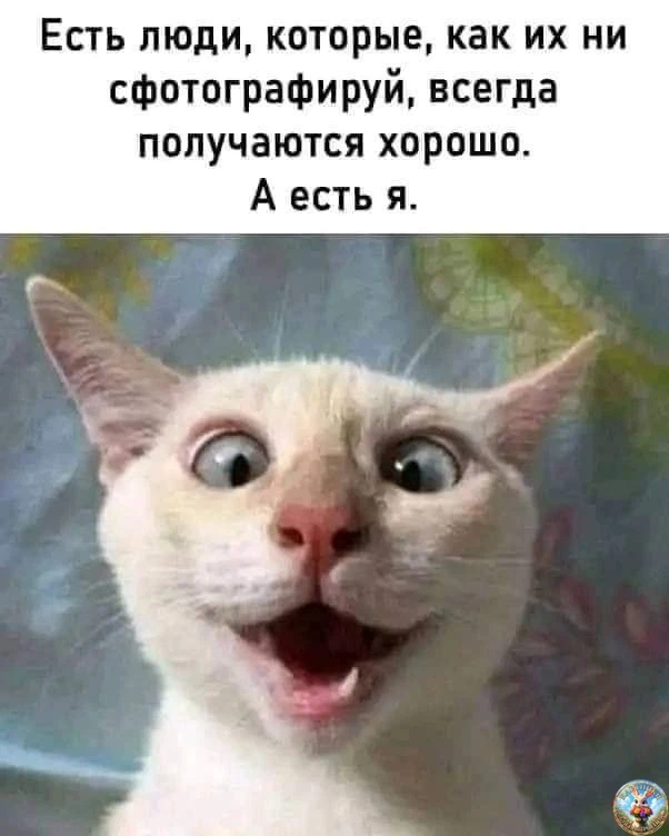Картинки для настроения😊 | Юмор