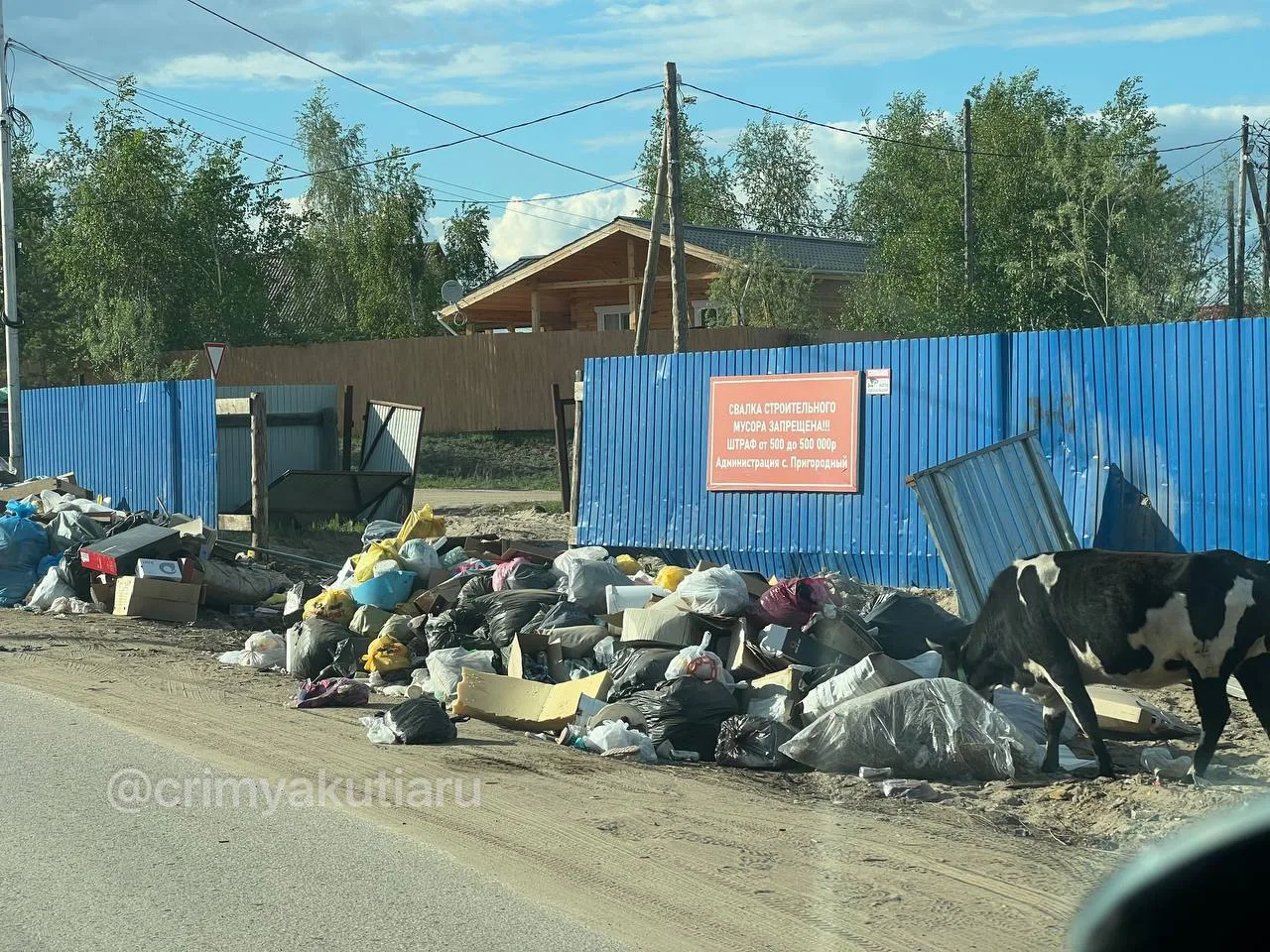 #пишут

В Пригородном тоже убрали бункеры, а люди всё кидают мусор. Эта свалка прямо на берегу прото