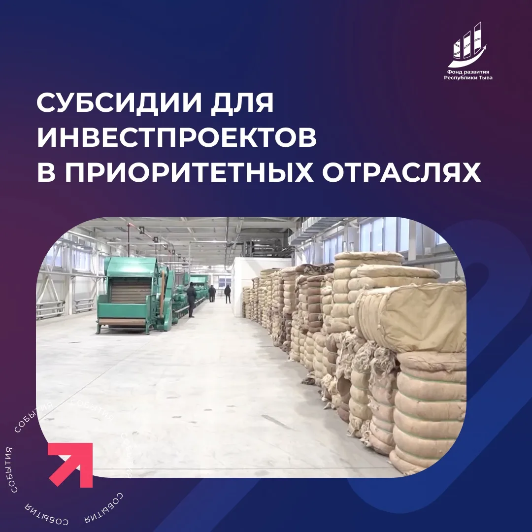 Объявлен отбор инвестиционных проектов в приоритетных отраслях экономики Тувы

Фонд развития Республ