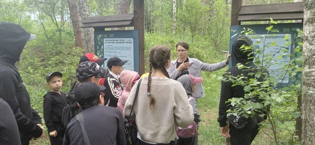 🌿 5 июня – День эколога в России! Наши юные натуралисты из лагеря «Россиянка» Хотимль-Кузменковской