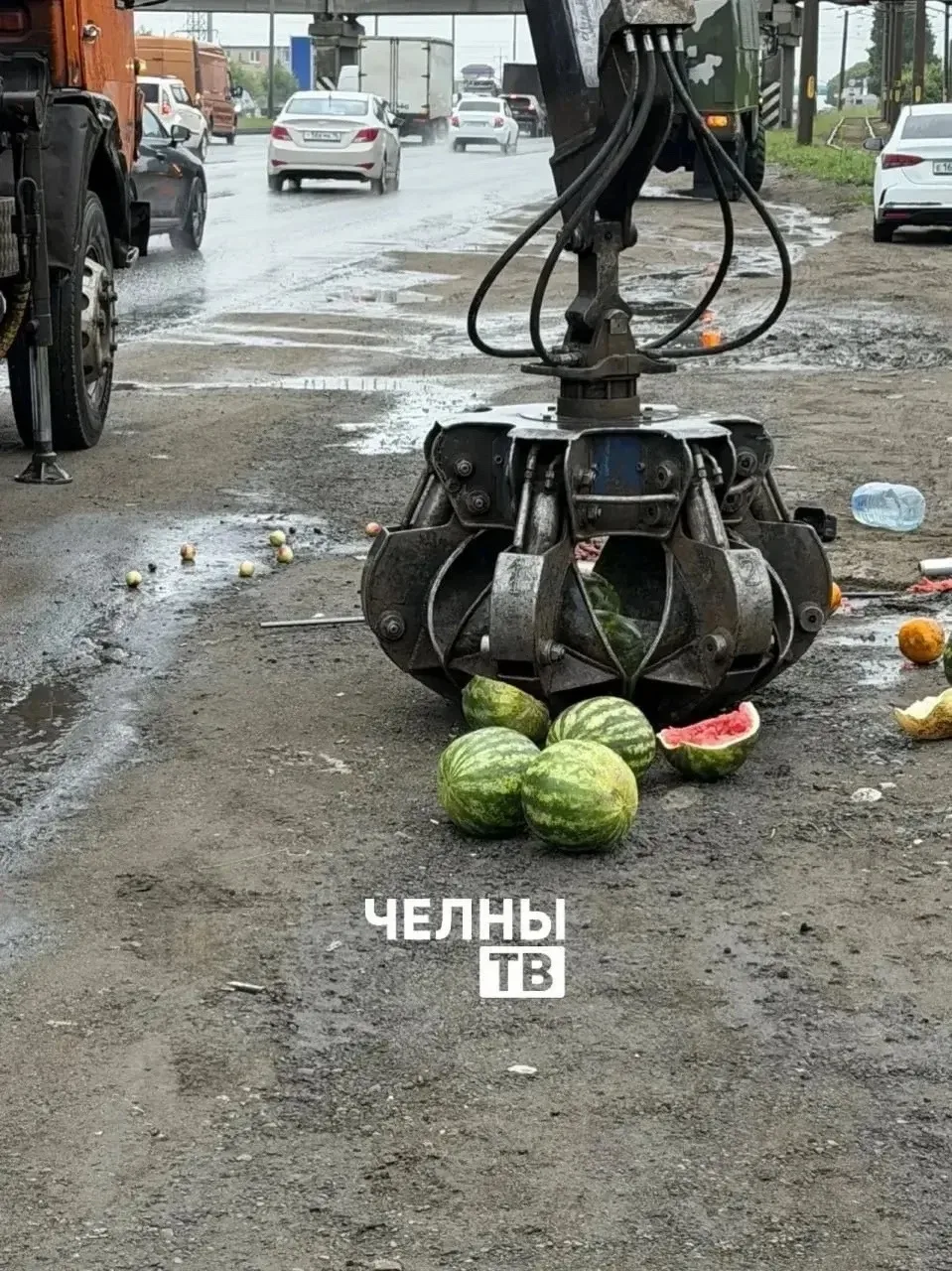 😢 В Челнах арестовали и жёстко уничтожили арбузы и дыни в присутствии полиции

Бахчевые незаконно н