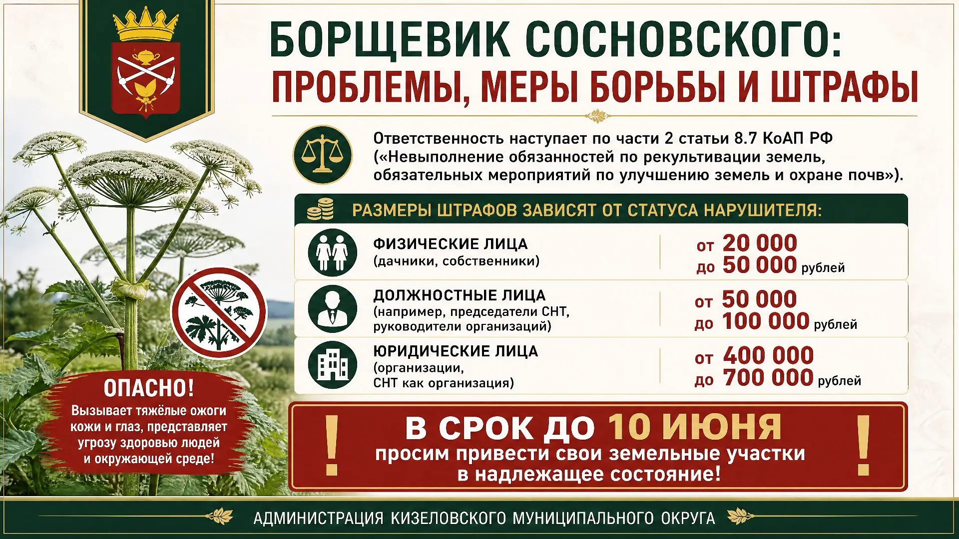 Борщевик Сосновского в Кизеловском муниципальном округе: проблема, меры борьбы, ШТРАФЫ. 

Борщевик С