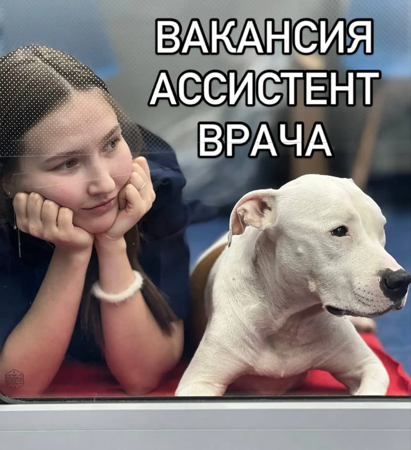 В связи с ростом и расширением штата сотрудников в дружный коллектив ЗооСити требуются ветеринарные 