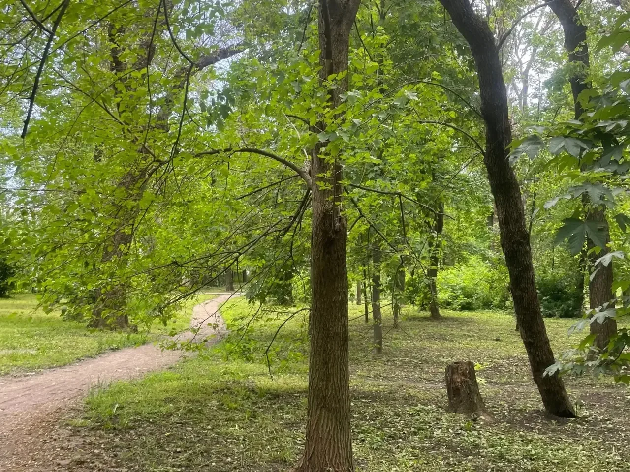 🌳Жителям Ростовской области продлили запрет на пребывание в лесах до 2 июля 

Об этом сообщили в ре