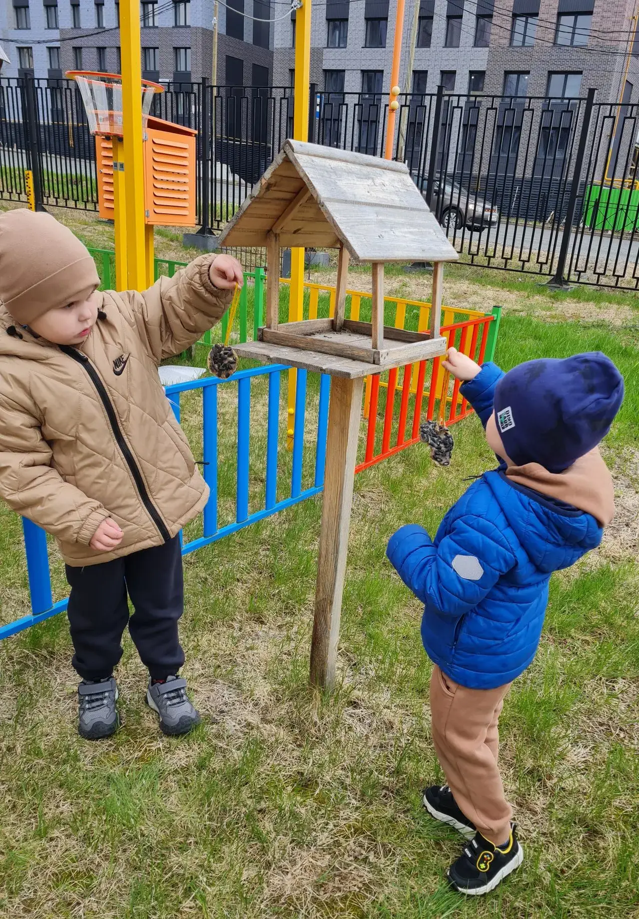«Съедобные кормушки — забота о пернатых друзьях» 🐦‍⬛

В рамках первого летнего  месяца, который  в 