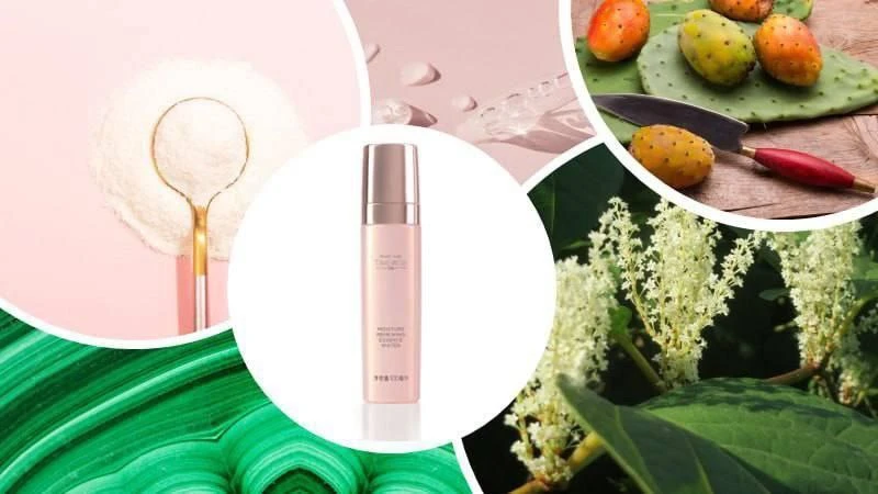 Содержит *комплекс MULTI - PATH ANTIOXIDANT TECHNOLOGY™* _(входит каждую формулу TimeWise® 5X)_
✔️ *