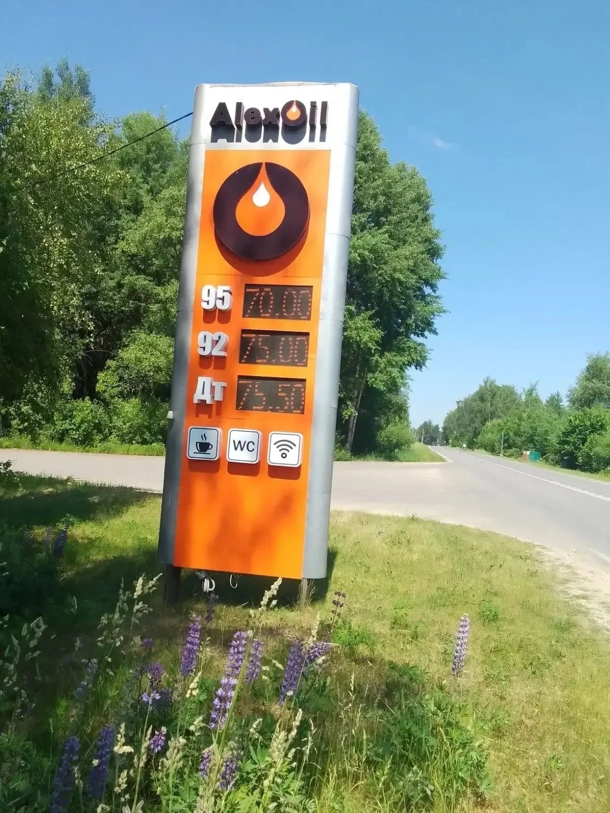 Жительница Калужской области пожаловалась губернатору на высокие цены на бензин в селе Хвастовичи. П