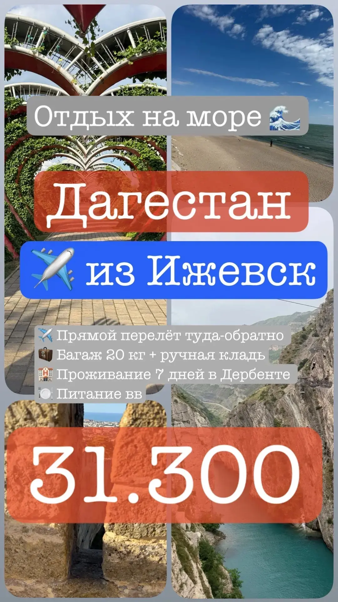 🌞 БАРХАТНЫЙ СЕЗОН В ДАГЕСТАНЕ: СЕНТЯБРЬ
Море всё ещё тёплое, горы — золотые, а фрукты — как никогда