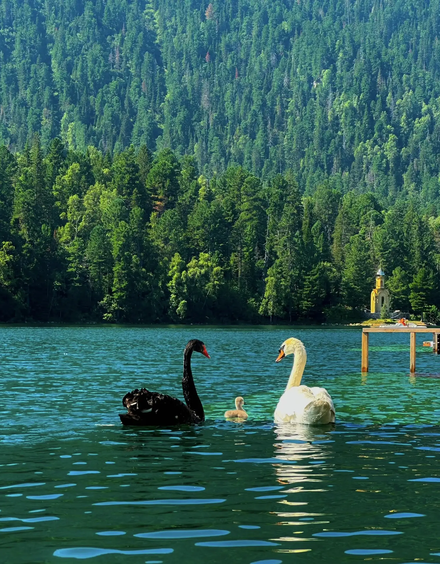 Лучший подарок для ребёнка — это счастливое детство🤗

Сегодня, 1 июня, мы отмечаем самый тёплый пра