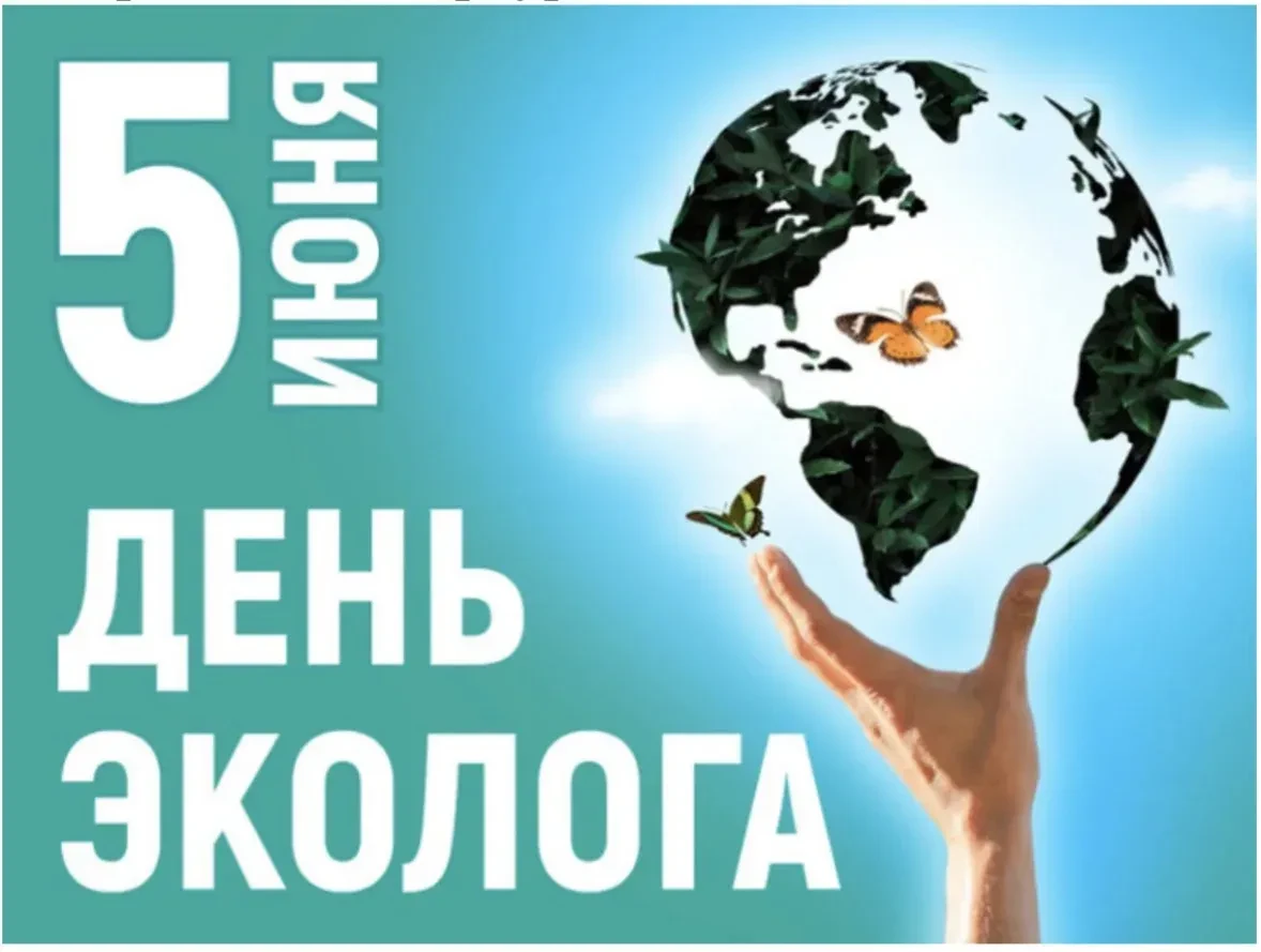 🌱 5 июня — День эколога. Экология — это не про чистоту и не про субботники. Экология — это наука о 