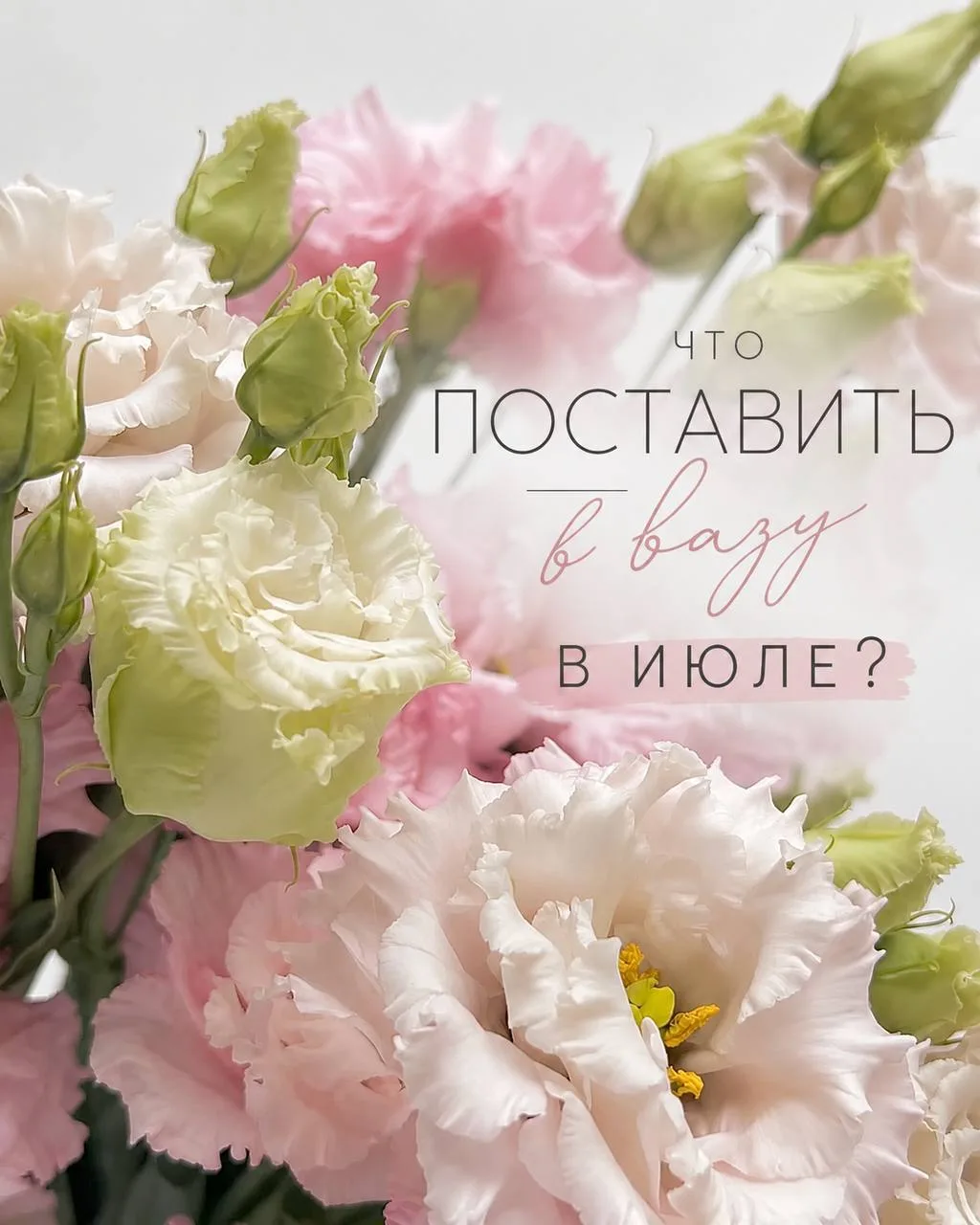 ЧТО ПОСТАВИТЬ В ВАЗУ В ИЮЛЕ? 🎀🌸
Июль — это время лёгких, ярких и по-настоящему летних цветов ✨
Что