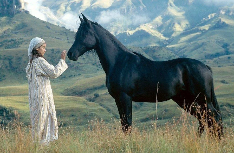 🎬 Рожденный в песках, 2003

Издавна в Аравии ходили легенды о волшебных конях, будто бы рожденных и