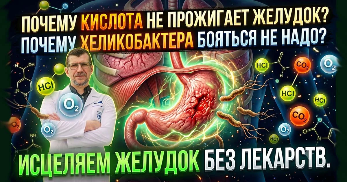 Когда у нас прихватывает желудок, начинается изжога или диагностируют гастрит, мы привычно виним во 
