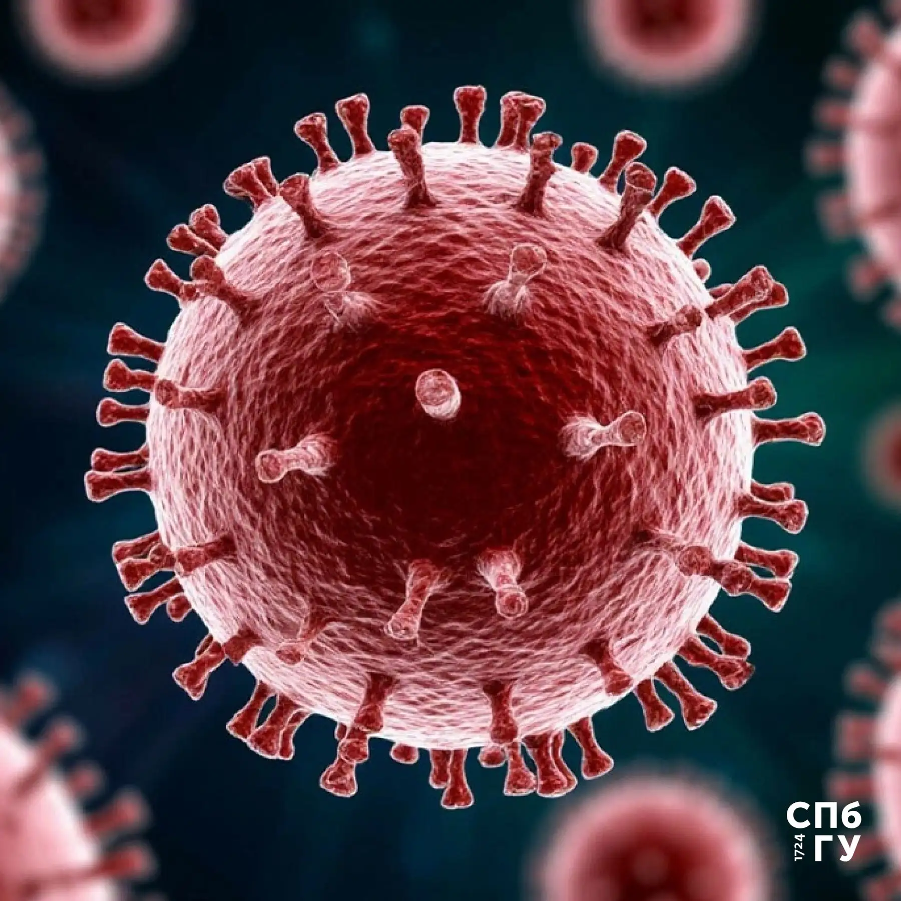 🦠Наши учёные — о рисках распространения хантавируса

Совсем недавно весь Интернет заполонили новост