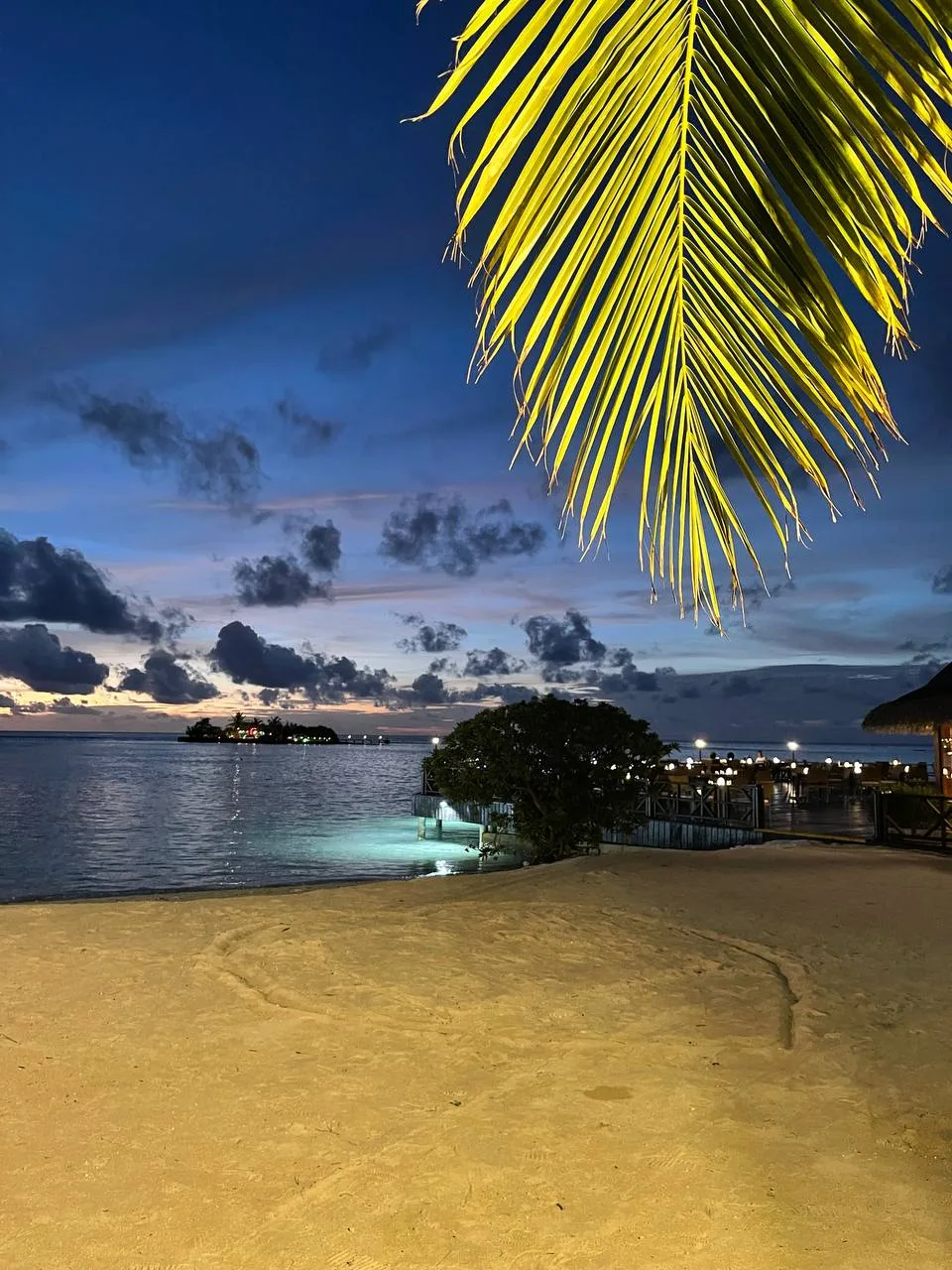 💲💲💲Мальдивы
🏨 Adaaran Select Hudhuran Fushi 4 🌟
⠀
✔️Большой резорт занимает целый остров;
✔️Тра